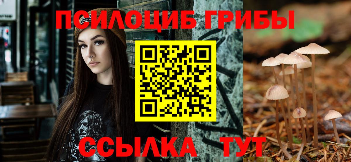 Галлюциногенные грибы Cubensis Тында